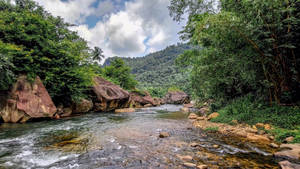 Sri Lanka We-oya River Wallpaper