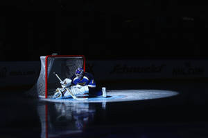 St Louis Blues Goal Keeper Wallpaper