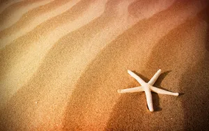 Starfish On Sand Wallpaper