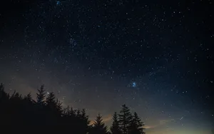 Starry Night Sky Over Forest Wallpaper