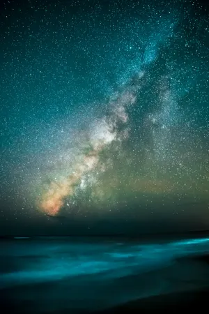 Starry Night Sky Samsung Galaxy Note 5 Wallpaper