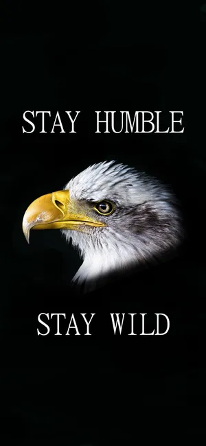 Stay Humble And Wild Wallpaper