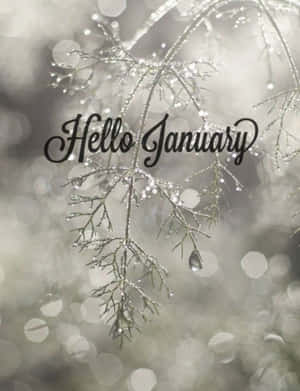 Step Into The New Year With January Phone! Wallpaper