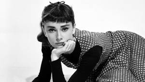 Stern Photo Shot Audrey Hepburn Wallpaper