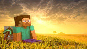 Steve On Grass And Diamond Minecraft Hd Wallpaper