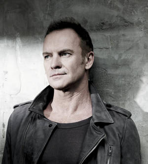 Sting Posing Photoshoot Wallpaper