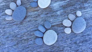 Stone-made Paw Prints Wallpaper