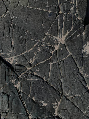 Stone Web-liked Texture Wallpaper