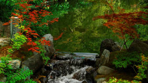 Stream With Japanese Nature Wallpaper