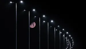 Street Light At Night Wallpaper