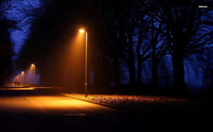 Street Light Trees Wallpaper