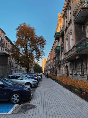 Street With Buildings And Parking Lot Wallpaper