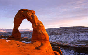 Striking Delicate Arch Wallpaper