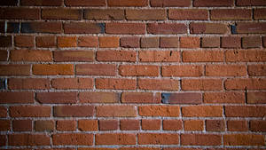 Striking Red Brick Wall Texture Wallpaper