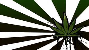 Striped Stoner Art Wallpaper