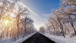 Studying For The Upcoming Exams In Winter Wallpaper