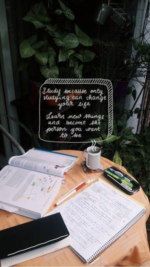 Studying Outdoors Wallpaper