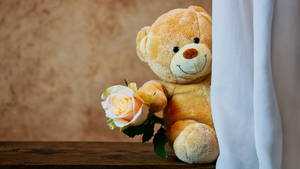 Stuffed Cute Teddy Bear Wallpaper