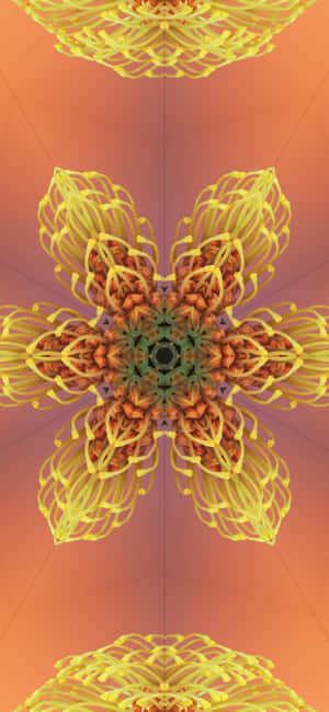 Stunning Aerial View Of A Serene Lake And Forest In Ios 17 Wallpaper Wallpaper