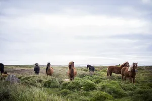 Stunning High Definition View Of A Tranquil Lake Surrounded By Trees Wallpaper