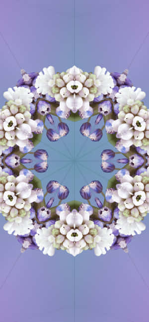 Stunning Ios 17 Gradient Wallpaper Wallpaper