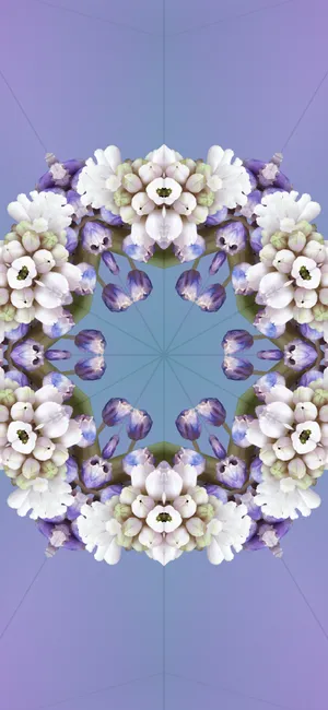 Stunning Ios 17 Gradient Wallpaper Wallpaper