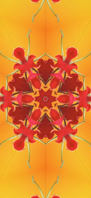 Stunning Ios 17 Wallpaper - A Gradient Aesthetic Wallpaper