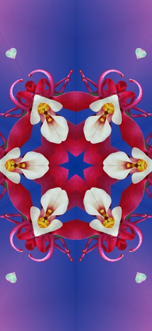 Stunning Ios 17 Wallpaper In Vibrant Colors Wallpaper