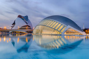 Stunning Palau De Les Arts Valencia Wallpaper