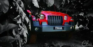 Stunning Red Thar Against A Backdrop Of Dark Trees Wallpaper