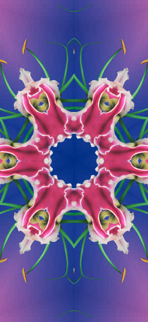 Stunning Sunset Over The Ocean, Captured On Ios 17 Wallpaper