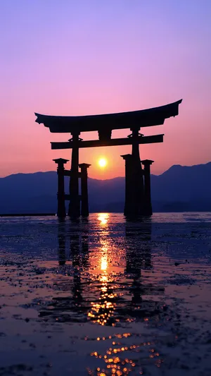 Stunning View Of Tokyo Tower At Night On Iphone Screen Wallpaper
