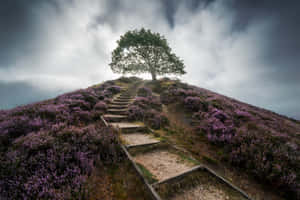 Stunning Web Landscape Of Google Wallpaper