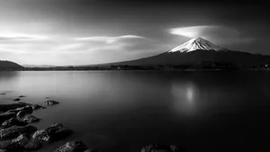 Stunning White And Black Landscape Of Japan Wallpaper