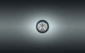 Sturdy Metal Shield On Stone Wall Wallpaper