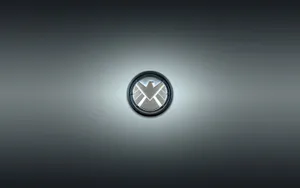 Sturdy Metal Shield On Stone Wall Wallpaper