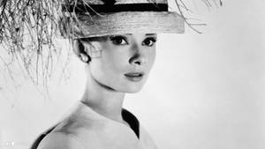 Style Icon Audrey Hepburn Brings Timeless Elegance Wallpaper