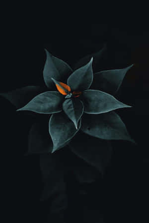 Stylish Black And Gold Desktop Wallpaper Wallpaper