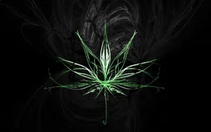 Stylized Weed Leaf Artwork Wallpaper