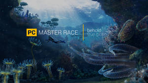 Subnautica Alien Sea 2 Wallpaper