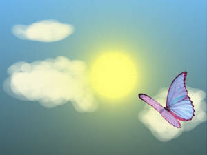 Summer Aesthetic Floating Butterfly Wallpaper
