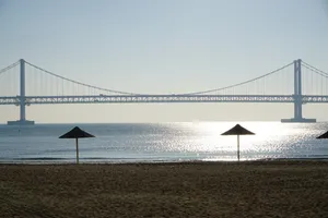 Summer Beach In Busan City Wallpaper
