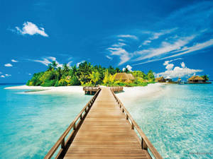 Summer Holiday Beach Dock Wallpaper