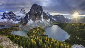 Summer Landscape Wallpaper