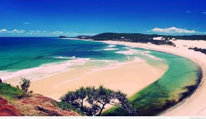 Summer Landscape Wallpaper