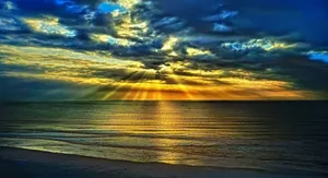 Summer Los Angeles Sunset Wallpaper