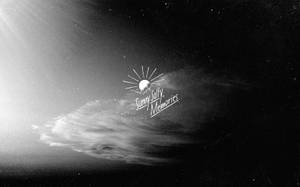 Summer Memories Dark Gray Wallpaper