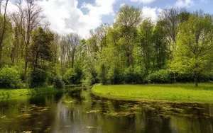 Summer Nature Wallpaper