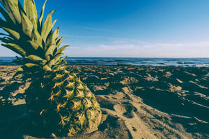 Summer Vibes Green Pineapple Wallpaper