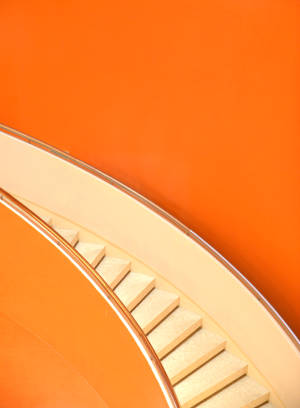 Sun-kissed Ripe Oranges In A Tree Wallpaper
